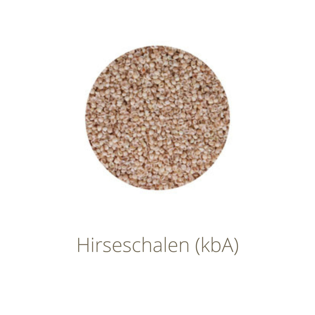 Kräuterdrache &