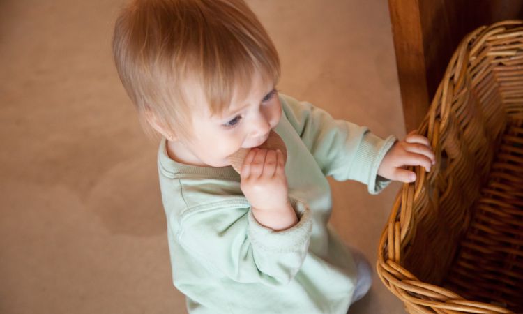 BABY SPIELZEUG